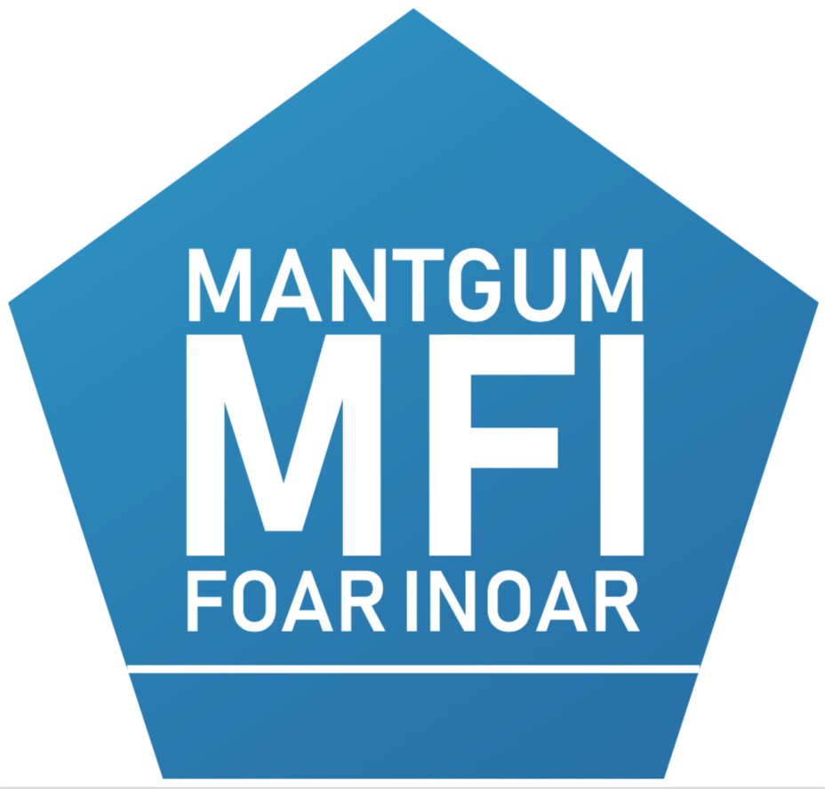 MFI logo